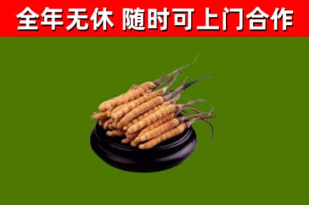 满城烟酒回收冬虫夏草.jpg